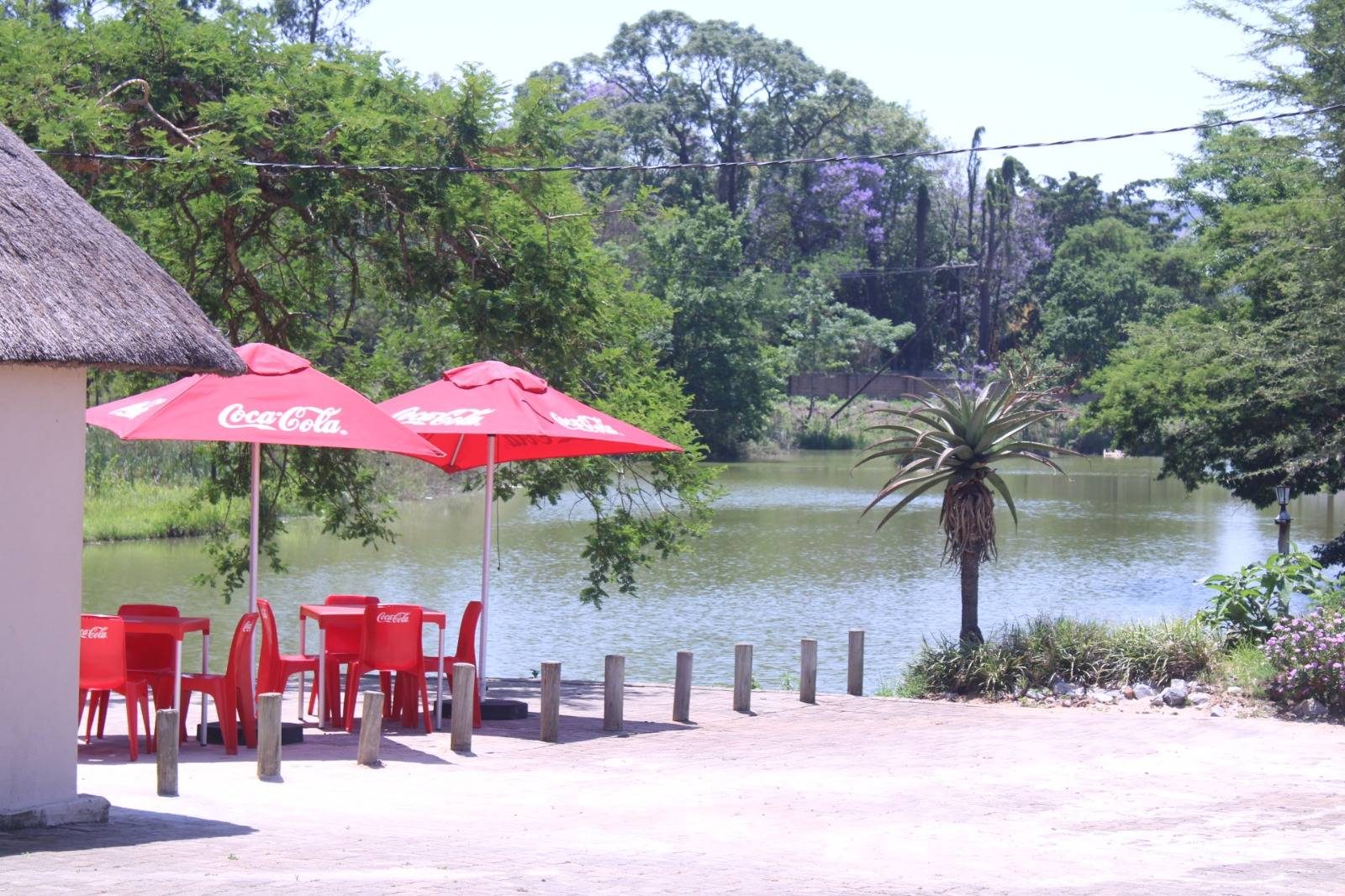 Dam area