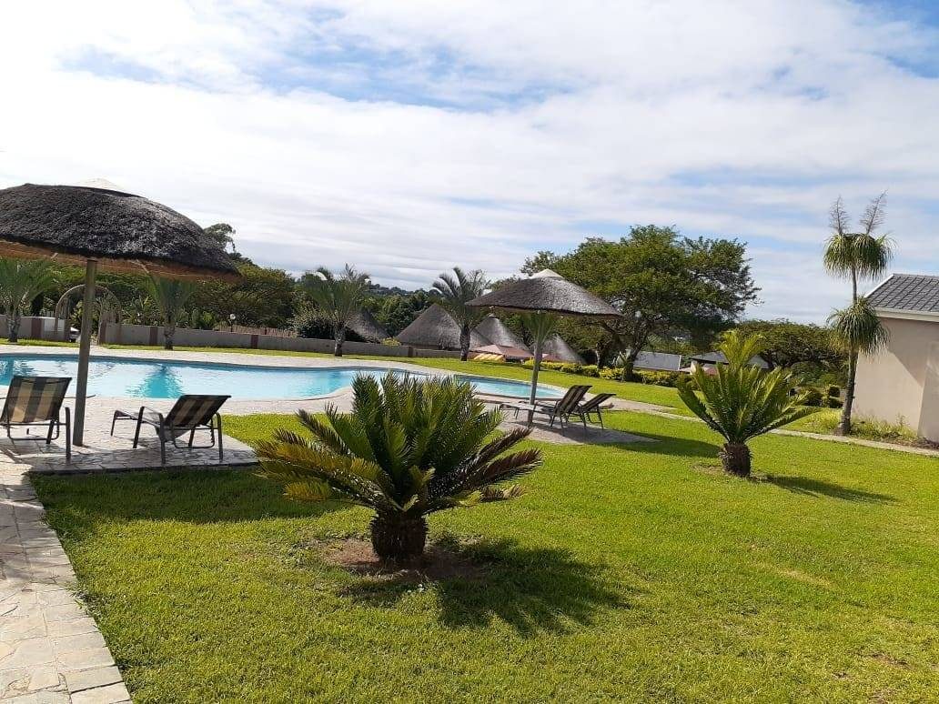 Yard and pool